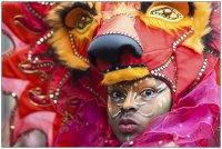 2014| Bremen Samba Karneval 