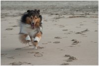 2015 | Geschwindigkeit