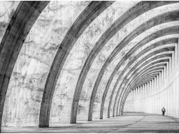 3 | Deutsche Fotomeisterschaft