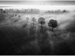 6 Deutsche Fotomeisterschaft